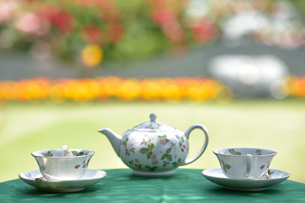 お茶のサービス お茶のサービス