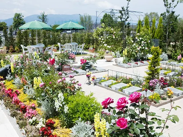 圓成寺　琵琶湖・堅田ふれあいパーク