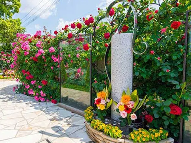 大興寺　佐賀ふれあいパーク