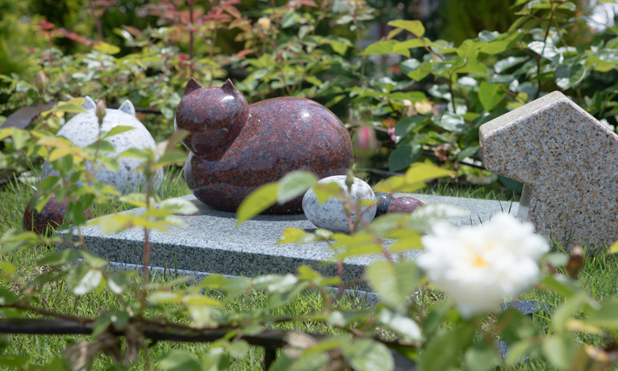 圓成寺 琵琶湖・堅田ふれあいパーク スライド3