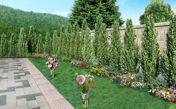 樹木葬式の墓地の写真