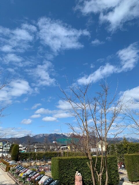 圓成寺　琵琶湖・堅田ふれあいパーク