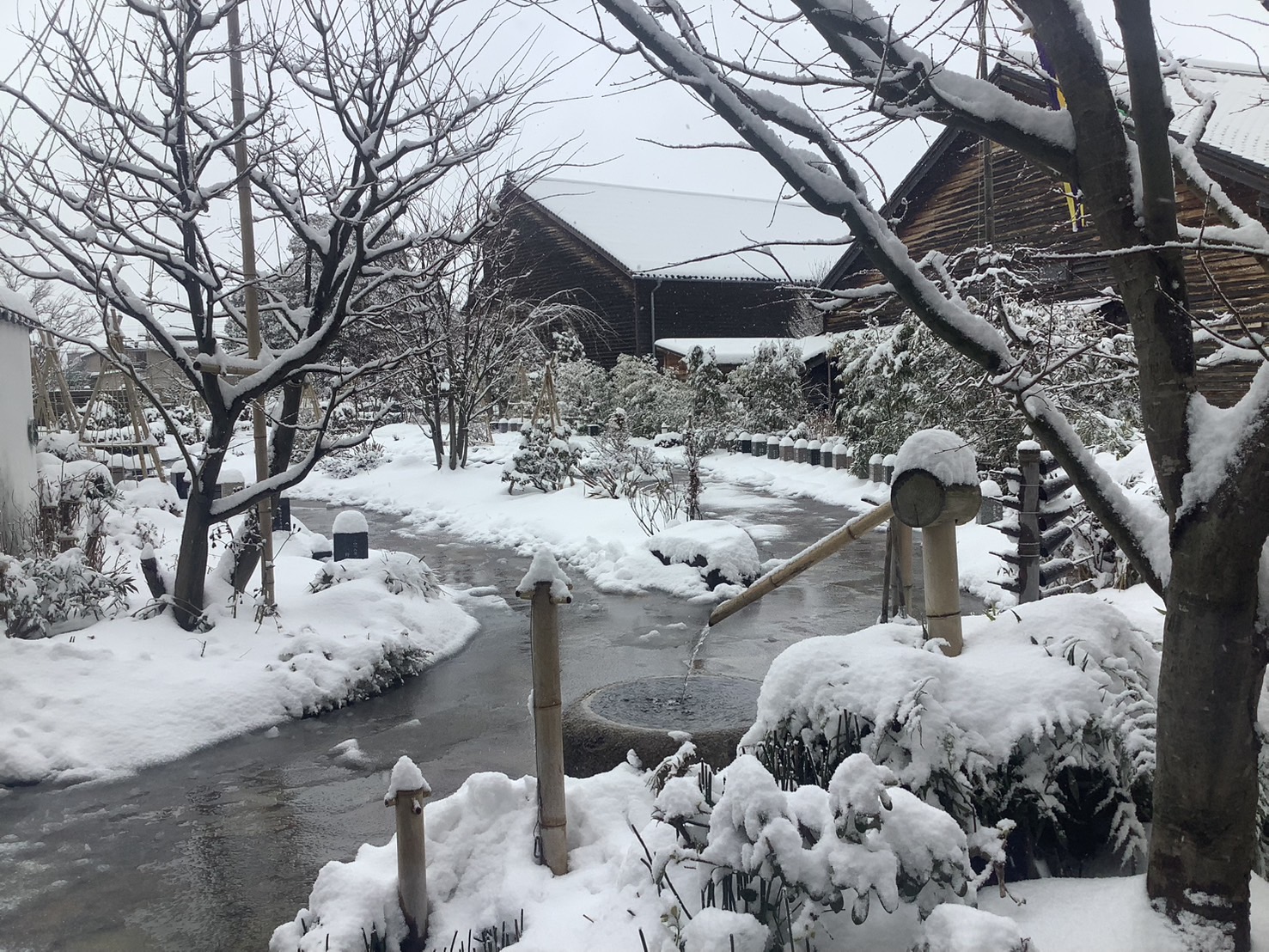 金沢 寺町 宝勝寺ふれあいパーク霊苑